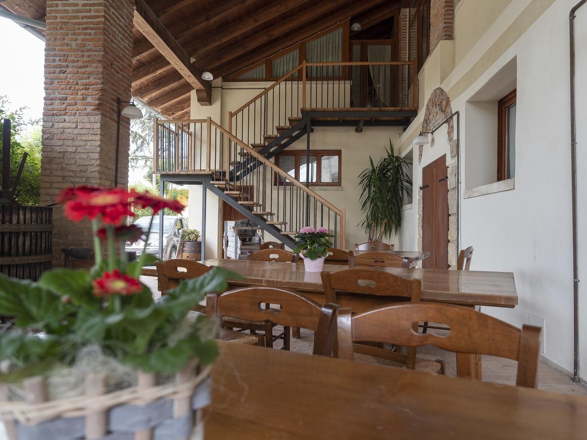 Agriturismo Il Palazzone Montegalda Luaran gambar