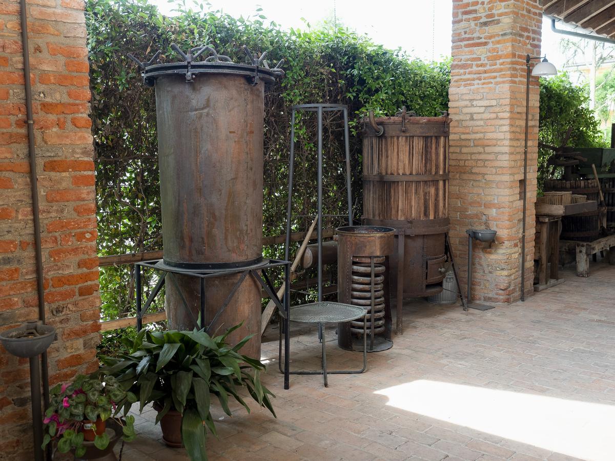 Agriturismo Il Palazzone Montegalda Luaran gambar